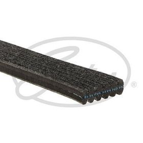 Gates 6DPK1215 Kanallı Kayış