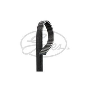 Gates 6DPK1352 Kanallı Kayış
