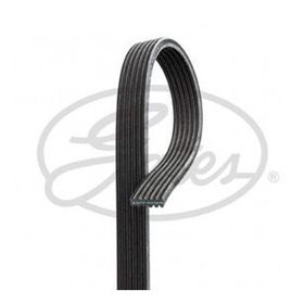 Gates 6DPK1838 Kanallı Kayış