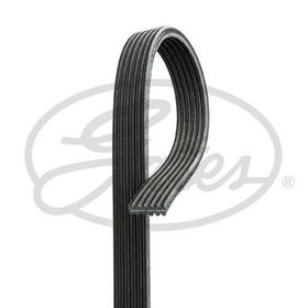 Gates 6DPK1838 Kanallı Kayış