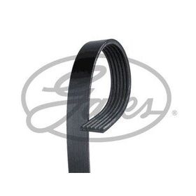 Gates 6PK1250 Kanallı Kayış