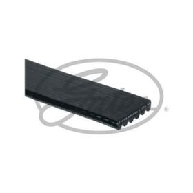 Gates 6PK1250 Kanallı Kayış