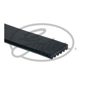 Gates 6PK1285 Micro-V Horizon Kayış