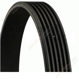 Gates 6PK1678 Kanallı Kayış