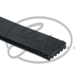 Gates 6PK1818 Kanallı Kayış