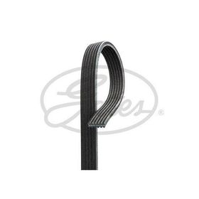 Gates 6PK2033 Kanallı Kayış