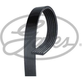 Gates 6PK925 Kanallı Kayış