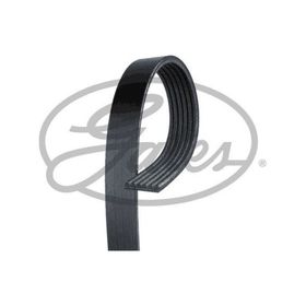 Gates 6PK925 Kanallı Kayış