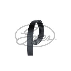 Gates 6PK970 Kanallı Kayış