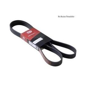 Gates 6PK988 Kanallı Kayış