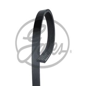 Gates 6PK988 Kanallı Kayış