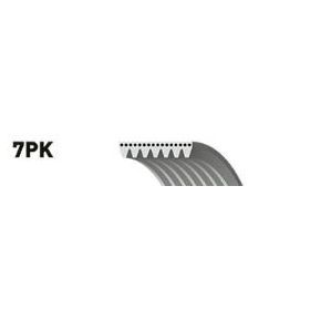 Gates 7PK1103 Kanallı Kayış
