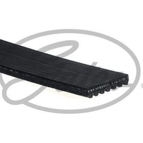 Gates 7PK1148 Kanallı Kayış