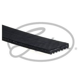 Gates 7PK1153 Kanallı Kayış