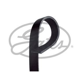 Gates 7PK1753 Kanallı Kayış
