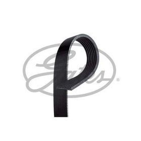 Gates 7PK1770 Kanallı Kayış