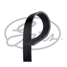 Gates 7PK2843 Kanallı Kayış