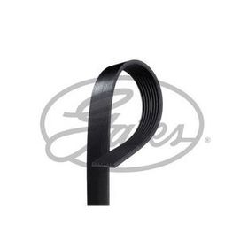 Gates 8PK2440 Kanallı Kayış