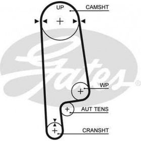 Gates K015234XS Honda Accord 1990 1998 Eksantrik Rulman Kiti
