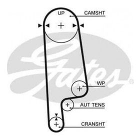 Gates K015234XS Honda Accord 1990 1998 Eksantrik Rulman Kiti