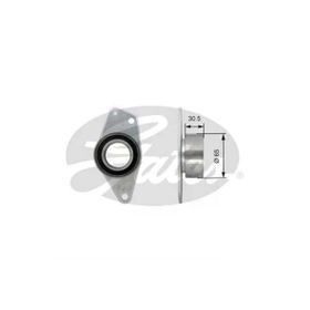 Gates T42091 Eksantrik Gergi Rulmanı