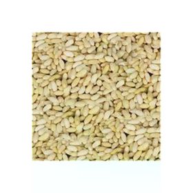 Gaziantep Pazarı 1 kg Dolmalık Yer Fıstığı