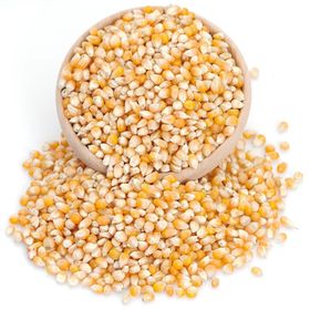 Gaziantep Pazarı 2,5 kg Patlayan Mısır