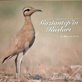 Gaziantep'in Kuşları - Hüseyin Meşe