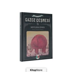 Gazoz Çeşmesi - Mevlana İdris