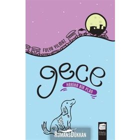 Gece - Harika Bir Plan - Fulya Yılmaz