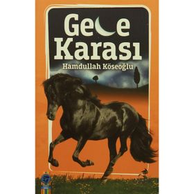 Gece Karası - Hamdullah Köseoğlu