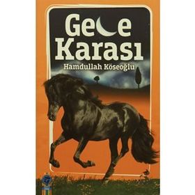 Gece Karası - Hamdullah Köseoğlu