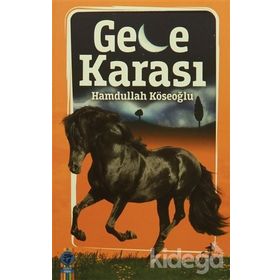 Gece Karası - Hamdullah Köseoğlu
