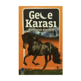Gece Karası - Hamdullah Köseoğlu
