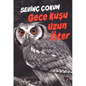 Gece Kuşu Uzun Öter - Sevinç Çokum