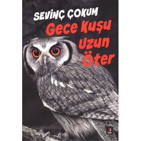 Gece Kuşu Uzun Öter - Sevinç Çokum