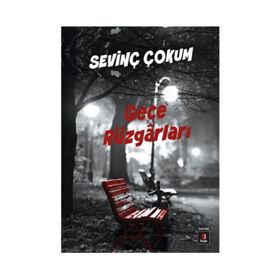 Gece Rüzgarları - Sevinç Çokum