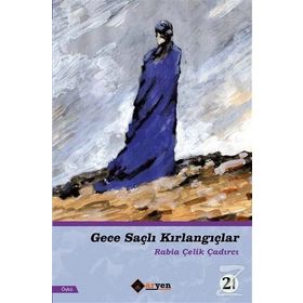 Gece Saçlı Kırlangıçlar - Rabia Çelik Çadırcı