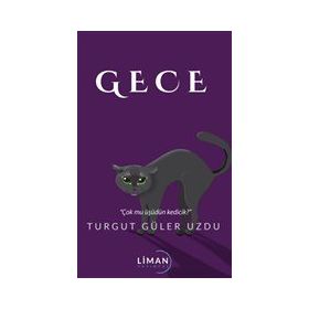 Gece - Turgut Güler Uzdu