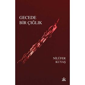 Gecede Bir Çığlık Kafka Kitap