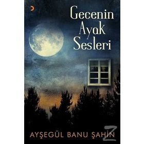 Gecenin Ayak Sesleri - Ayşegül Banu Şahin