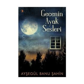 Gecenin Ayak Sesleri - Ayşegül Banu Şahin