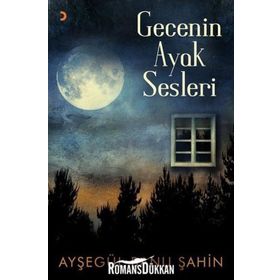 Gecenin Ayak Sesleri - Ayşegül Banu Şahin