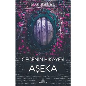 Gecenin Hikayesi Aşeka -N. G. Kabal