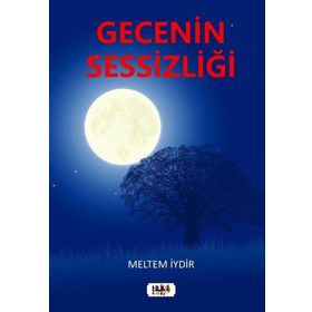 Gecenin Sessizliği - Bilgin Sayar