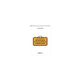 Geçici İş İlişkisinde İşverenlerin İş Kazalarından Sorumluluğu - Hacer Gülşen
