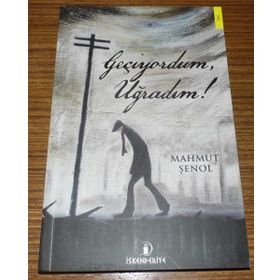 Geçiyordum, Uğradım! - Mahmut Şenol