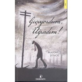 Geçiyordum, Uğradım! - Mahmut Şenol
