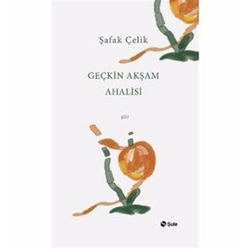 Geçkin Akşam Ahalisi - Şafak Çelik