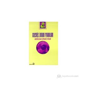GEÇMİŞ ZAMAN FIKRALARI - ABDULHAK ŞİNASİ HISAR